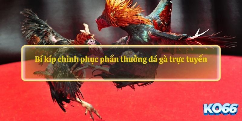 Bí kíp chinh phục phần thưởng với đá gà trực tuyến